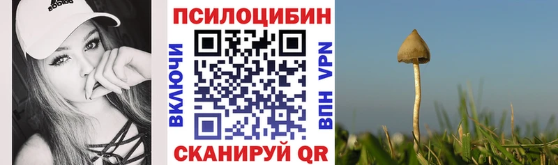 это телеграм  Вельск  Псилоцибиновые грибы прущие грибы 